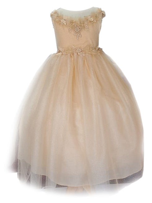 Little Girls Champagne Illusion Neckline Floral Applique Glitter Tulle Dress 2-6 - SophiasStyle.com